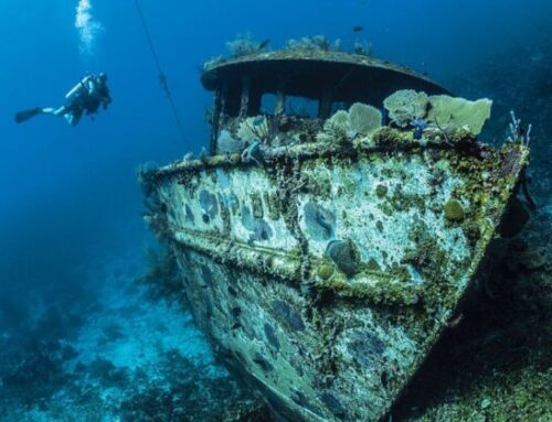 10 Most Incredible Discoveries Made By Divers